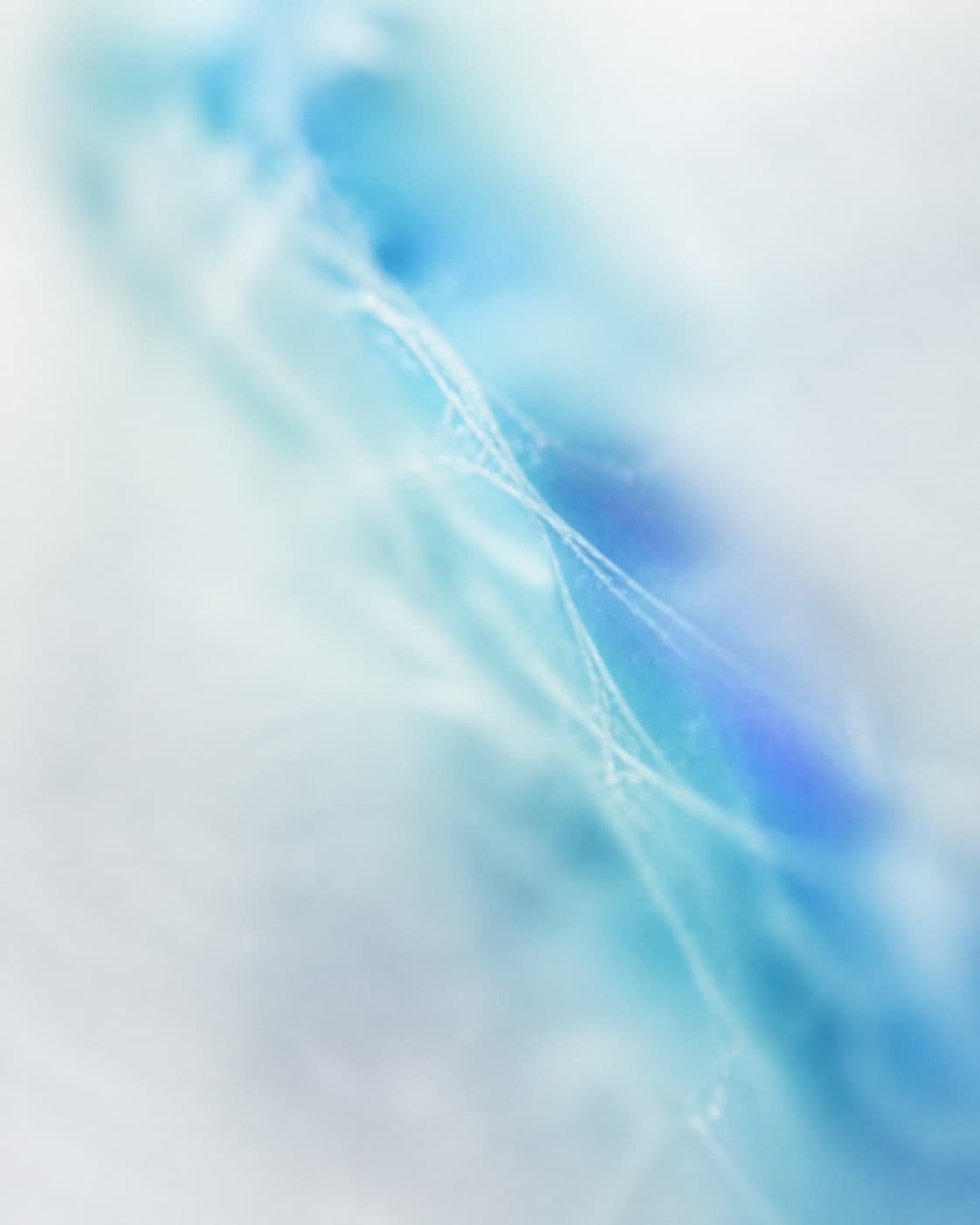 Univers visuel Développement de Boost Agency